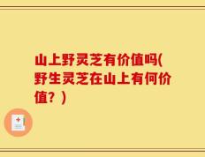 山上野灵芝有价值吗(野生灵芝在山上有何价值？)