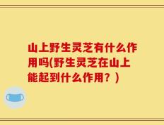 山上野生灵芝有什么作用吗(野生灵芝在山上能起到什么作用？)