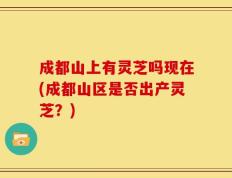 成都山上有灵芝吗现在(成都山区是否出产灵芝？)
