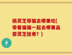 摘灵芝带猫去哪里吃(带着猫猫一起去哪里品尝灵芝佳肴？)