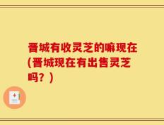 晋城有收灵芝的嘛现在(晋城现在有出售灵芝吗？)