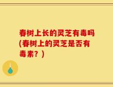 春树上长的灵芝有毒吗(春树上的灵芝是否有毒素？)