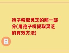 孢子粉取灵芝的那一部分(用孢子粉提取灵芝的有效方法)