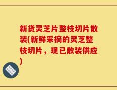 新货灵芝片整枝切片散装(新鲜采摘的灵芝整枝切片，现已散装供应)