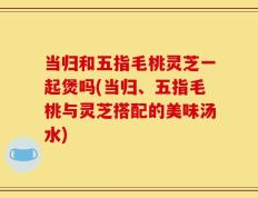 当归和五指毛桃灵芝一起煲吗(当归、五指毛桃与灵芝搭配的美味汤水)