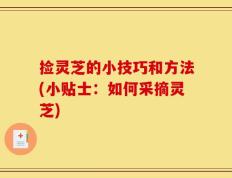 捡灵芝的小技巧和方法(小贴士：如何采摘灵芝)