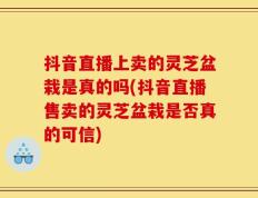 抖音直播上卖的灵芝盆栽是真的吗(抖音直播售卖的灵芝盆栽是否真的可信)