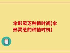 伞形灵芝种植时间(伞形灵芝的种植时机)