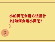 小的灵芝食用方法是什么(如何食用小灵芝？)