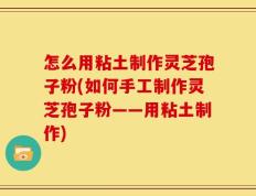 怎么用粘土制作灵芝孢子粉(如何手工制作灵芝孢子粉——用粘土制作)
