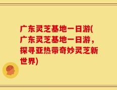 广东灵芝基地一日游(广东灵芝基地一日游，探寻亚热带奇妙灵芝新世界)