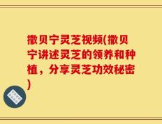 撒贝宁灵芝视频(撒贝宁讲述灵芝的领养和种植，分享灵芝功效秘密)