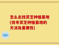 怎么去找灵芝种植基地(找寻灵芝种植基地的方法及重要性)