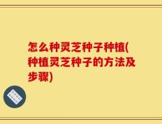 怎么种灵芝种子种植(种植灵芝种子的方法及步骤)