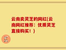 云南卖灵芝的网红(云南网红推荐：优质灵芝直接购买！)