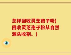 怎样回收灵芝孢子粉(回收灵芝孢子粉从自然源头收割。)