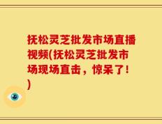 抚松灵芝批发市场直播视频(抚松灵芝批发市场现场直击，惊呆了！)