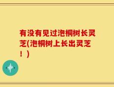 有没有见过泡桐树长灵芝(泡桐树上长出灵芝！)