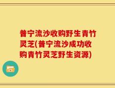 普宁流沙收购野生青竹灵芝(普宁流沙成功收购青竹灵芝野生资源)