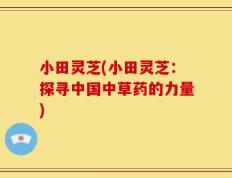 小田灵芝(小田灵芝：探寻中国中草药的力量)