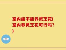 室内能不能养灵芝花(室内养灵芝花可行吗？)