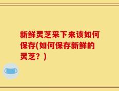 新鲜灵芝采下来该如何保存(如何保存新鲜的灵芝？)