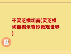 干灵芝横切面(灵芝横切面揭示奇妙微观世界)