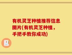 有机灵芝种植推荐信息图片(有机灵芝种植，手把手教你成功)