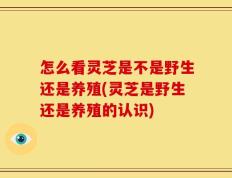 怎么看灵芝是不是野生还是养殖(灵芝是野生还是养殖的认识)