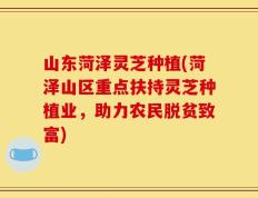 山东菏泽灵芝种植(菏泽山区重点扶持灵芝种植业，助力农民脱贫致富)
