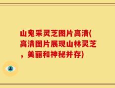山鬼采灵芝图片高清(高清图片展现山林灵芝，美丽和神秘并存)