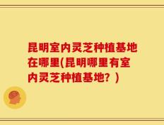 昆明室内灵芝种植基地在哪里(昆明哪里有室内灵芝种植基地？)