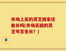 市场上买的灵芝回家还能长吗(市场买回的灵芝可否生长？)