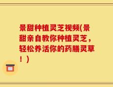 景甜种植灵芝视频(景甜亲自教你种植灵芝，轻松养活你的药膳灵草！)