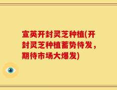宣英开封灵芝种植(开封灵芝种植蓄势待发，期待市场大爆发)