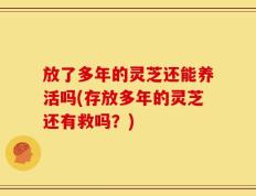 放了多年的灵芝还能养活吗(存放多年的灵芝还有救吗？)