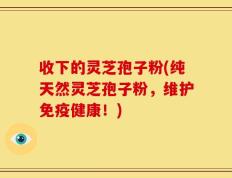 收下的灵芝孢子粉(纯天然灵芝孢子粉，维护免疫健康！)