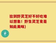 捡到野灵芝好不好吃难以想象！野生灵芝竟是如此美味)
