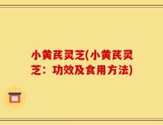 小黄芪灵芝(小黄芪灵芝：功效及食用方法)