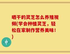 晒干的灵芝怎么养殖视频(学会种植灵芝，轻松在家制作营养美味！)