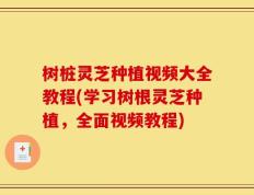 树桩灵芝种植视频大全教程(学习树根灵芝种植，全面视频教程)
