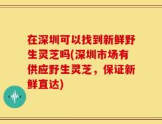 在深圳可以找到新鲜野生灵芝吗(深圳市场有供应野生灵芝，保证新鲜直达)
