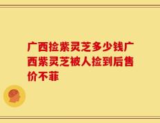 广西捡紫灵芝多少钱广西紫灵芝被人捡到后售价不菲
