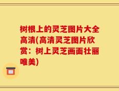 树根上的灵芝图片大全高清(高清灵芝图片欣赏：树上灵芝画面壮丽唯美)