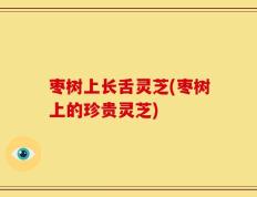 枣树上长舌灵芝(枣树上的珍贵灵芝)