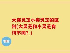 大棒灵芝小棒灵芝的区别(大灵芝和小灵芝有何不同？)