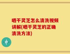 晒干灵芝怎么清洗视频讲解(晒干灵芝的正确清洗方法)