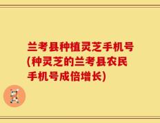 兰考县种植灵芝手机号(种灵芝的兰考县农民手机号成倍增长)