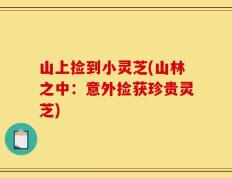 山上捡到小灵芝(山林之中：意外捡获珍贵灵芝)