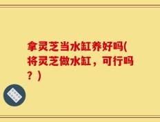 拿灵芝当水缸养好吗(将灵芝做水缸，可行吗？)